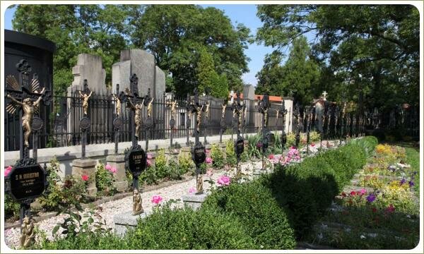 Могилы с крестами и растения