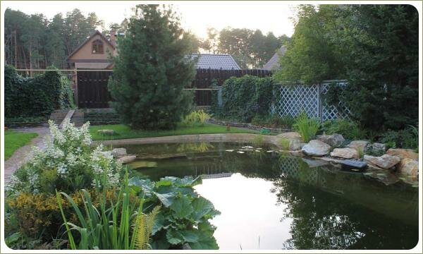 Рукотворные пруд - извилистые линии. Урал Пруд с извилистым плавным берегом и пышные растения куртиной и большие деревья