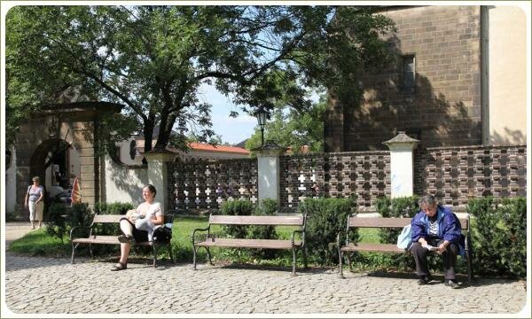 Люди на скамейках на фоне больших деревьев и забора из кирпичей