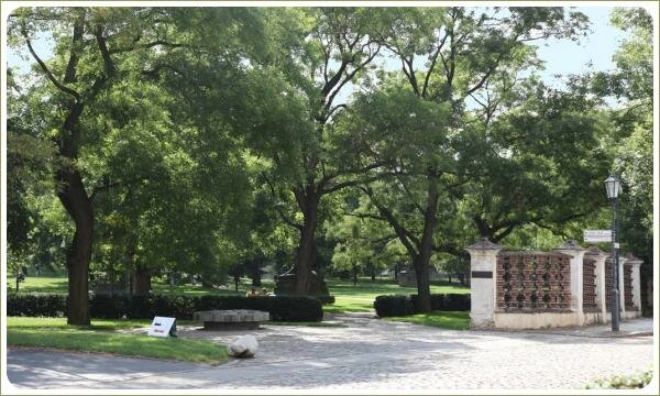 Старые раскидистые деревья и скамейки и лужайка и забор