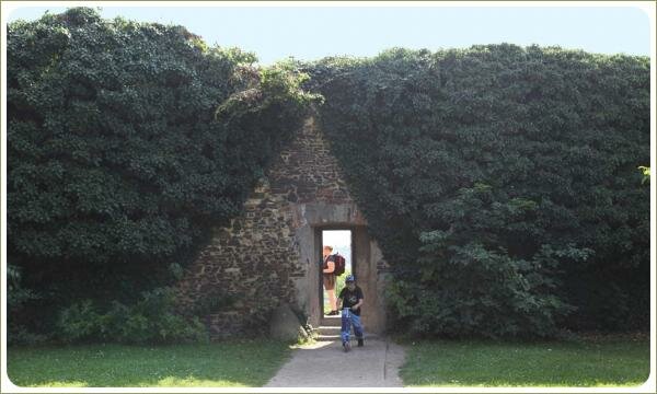 Стена из камней с аркой и зелёные лианы и тропинка и лужайка