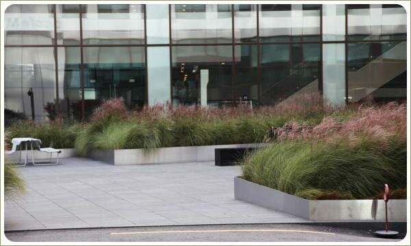 Цветники со злаками. Городское озеленение. Сеул Прямоугольные цветники с пышными растениями однородным массивом на фоне современного здания