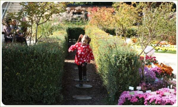 Маленькая девочка в красной одежде бежит по дорожке между формованной живой изгородью из цветов