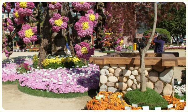 Облицованный светлым галечником колодец на фоне композиций из разноцветных цветов и деревьев на тонких стволах