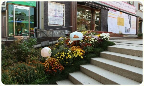 Разноцветно цветущие растения в миксбордере по краю лестницы на фоне строения