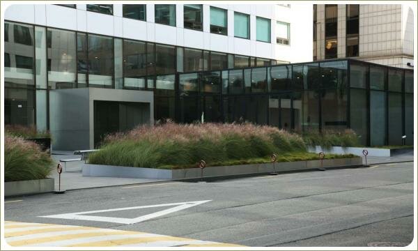 Злаки в цветнике. Городское озеленение. Сеул Пушистые травы в посадочном кармане на фоне современного здания