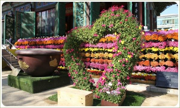 Фигура в форме сердца из розово цветущих растений на фоне пёстрого ковра из растений и чаши и строения