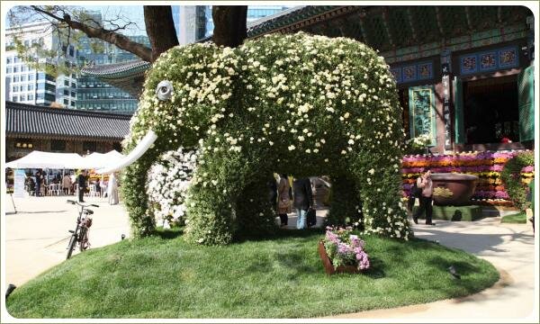 Фигура слона из цветущих белым цветом растений на круглой зелёной лужайке под деревом