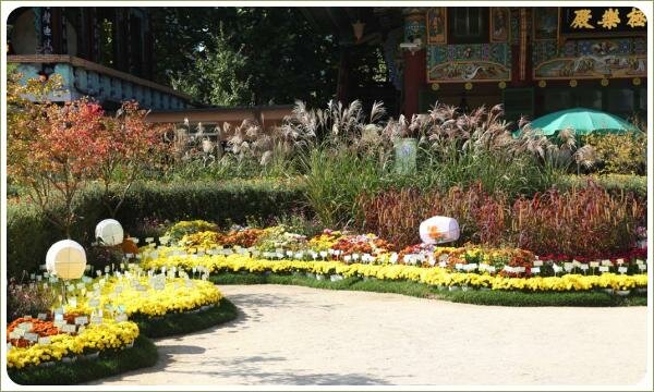 Яркие жёлтые ленты из цветущих растений в подбивке к злакам и кустарникам на фоне строения 