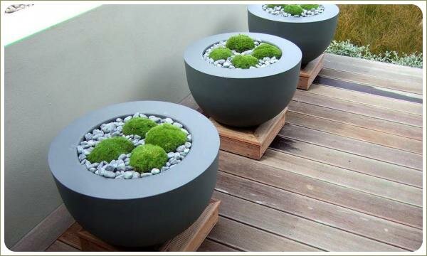 Полусферические контейнеры с композицей из мха и гальки на деревянных подставках