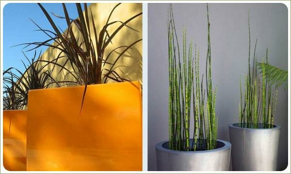 Современные контейнеры оранжевого и стального цвета с растеними стреловидной формы листьев