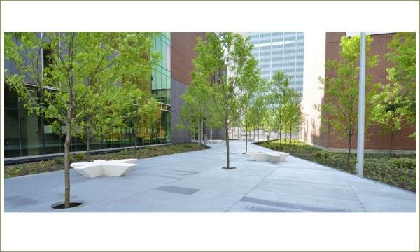 деревья в карманах и звёздочки скамейки и весеняя зелень на фоне гороских зданий