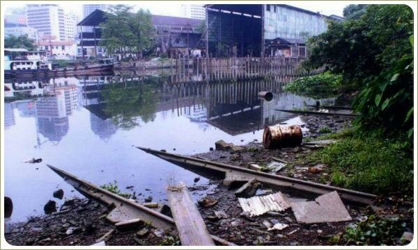 Замусоренная свалка на месте будущего парка