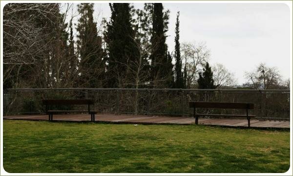 Площадка со скамейками на фоне лёгкого ограждения и деревянного мощения и зелёной лужайки и хвойных деревьев