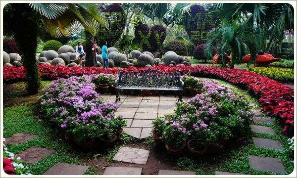 Горошки с сиреневыми цветаи выставлены в три ряда вокруг мощёной камнем в виде сердца площаки со скамейкой ажурной на фоне каменных сфер и тропических растений