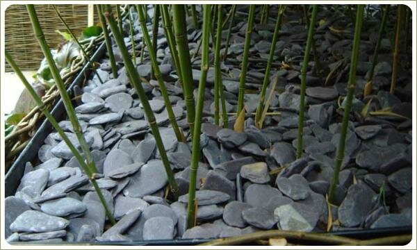 Композиция из зелёных палок на отсыпке из гальки в контейнере оплетённом лозой