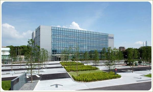 Площадь возле остеклённого здания с разного цвета покрытием и деревьями на штамбах