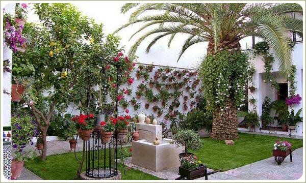 Дворики Кордовы. Маленький дворик не помеха Маленький дворик не помеха для ландшафтного озеленения