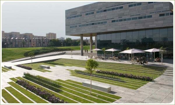 Удлинённые посадочные карманы с газоном и декоративными растениями на фоне мощения прямоугольными плитами и отделка фасада здания 