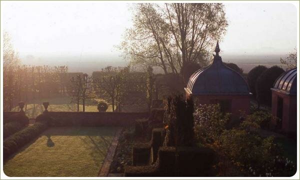 Топиари и стриженные живые изгороди и пальметы на фоне газона и миксбордеров