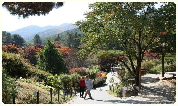 Дорожка в саду 