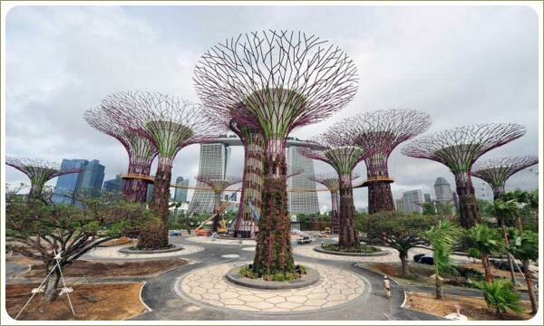 Супер-деревья. Деревья стилизованные Деревья стилизованные в парке