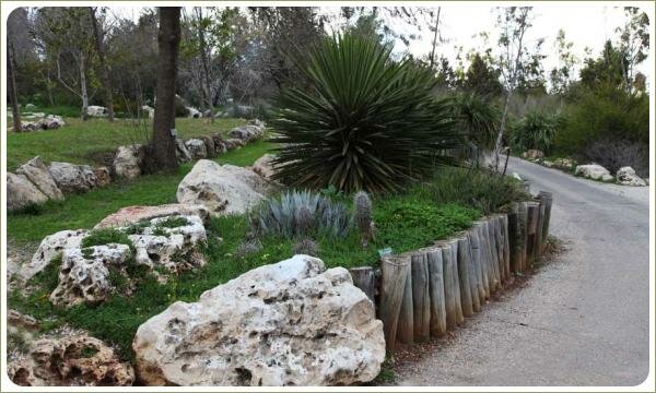 Разного размера светлые камни на склоне лесного участка под деревьями и вдоль дорожек с растениями