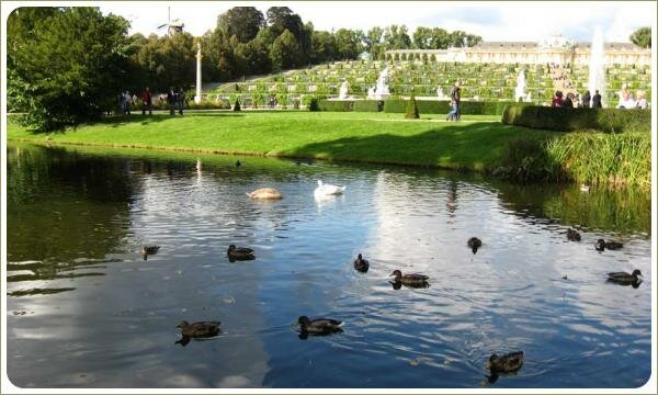 Пруд на фоне газона и виноградников в нескольких уровнях на склоне