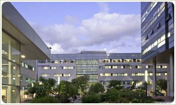 территория с площадками и дорожками из дереа и пышными посадками декоративных деревьев и кустарников и цветов