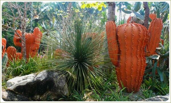 Кирпичного цвета керамические скульптуры кактусов рядом с растением с тонкими зелёными игольчатыми листьями и крупными серыми камнями