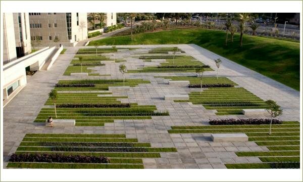 Длинные грядки с газоном и растениями на фоне мощения каменными плитами на площади