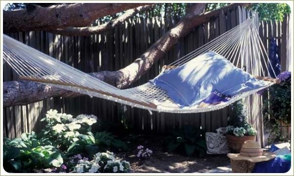 Уютный гамак: на дереве Классический гамак подвязан к толстым веткам дерева на фоне забора и цветника