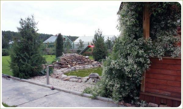 Фрагмент сбеседки увитой лианой на фоне водоёма с каменистой горкой на фоне гравийной отсыпки и хвойные деревья на газоне