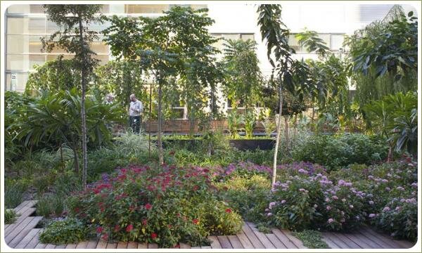 Пышно и разноцветно цветущие клумбы под штамбовыми формами деревьев