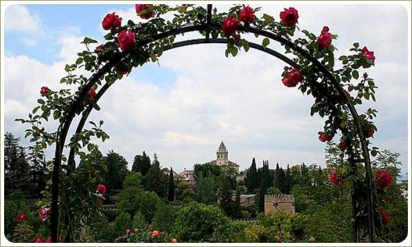 Стиль барокко. Арка увитая розами Арка увитая розами в парке