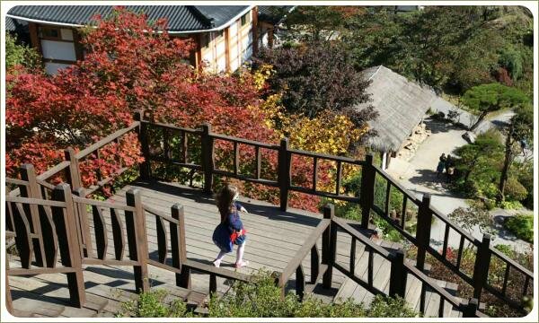 Площадка на высоте и вид на крыши строений и кустарники