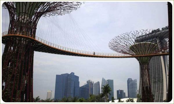 Супер-деревья. Мосты Мосты между стилизованными деревьями