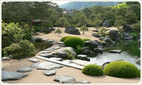  Степовые дорожки в гравии и растения