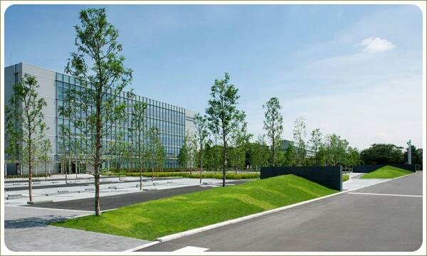 Лужайка-холм между проезжей частью и площадью с деревьями на фоне остеклённого здания