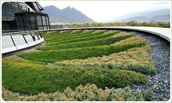 Почвопокровные растения с различными оттенками зелёного цвета листьев высажены в грядки и гравийная отсыпка и металлическое ограждение на фоне конструкций из металла