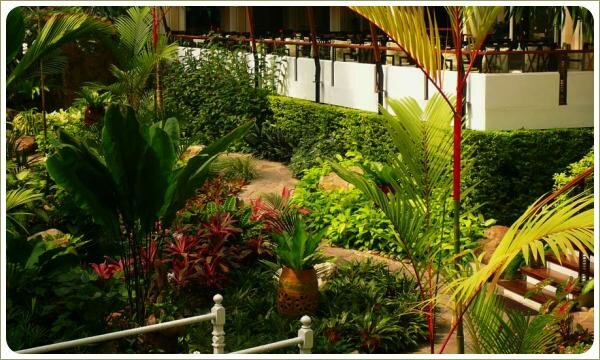 Композиции из растений с различным окрасом и формой листа на фоне мощёных дорожек и террасы с цоколем увитым растениями