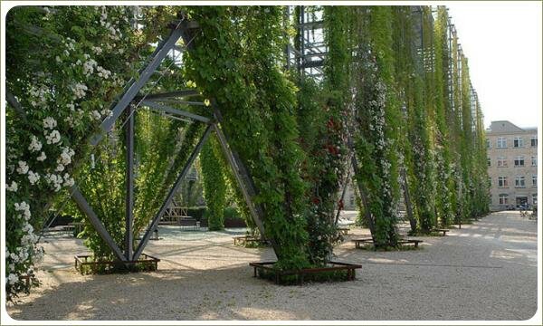 Внешняя часть металлической конструкции с лианами в период цветения