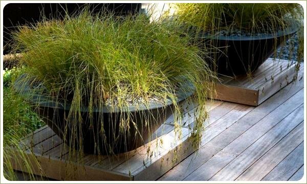 контейнеры в форме чаш со злаками замульчированными гравием на деревянной террасе 