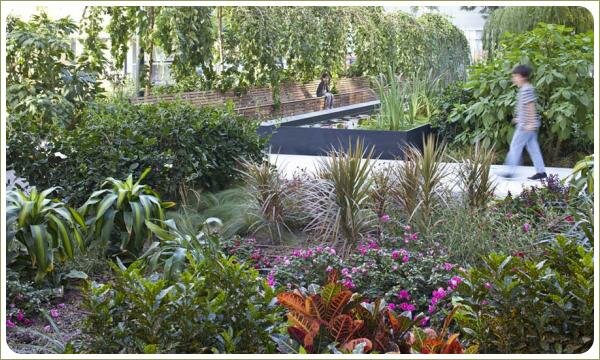 дорожка вдоль миксбордера с декоративными растениями и прямоугольного водоёма на фоне аллеи из деревьев плакучей формы