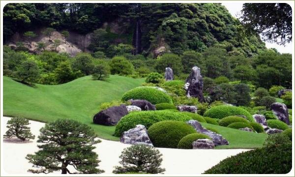 Озеленение холмов - лужайки и растения