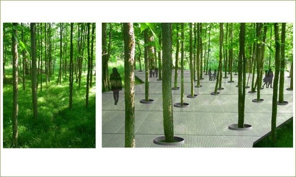 Сравнительные картики где показаны словия произростания деревьев в лесу и в в парке Гидро-Квебек