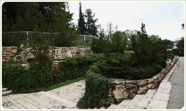 На разных уровных подпорных стен из дикого камня хвойные зелёные группы и ампельные травянистые многолетники