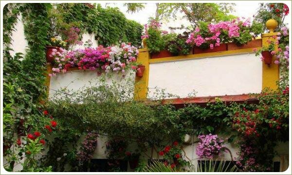 Дворики Кордовы. Растения в контейнерах по краю балконов Растения везде - в контейнерах по краю балконов и на стенах