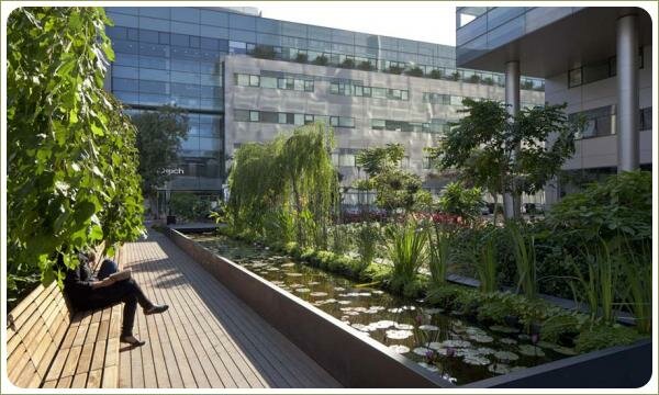 Длинная скамья вдоль аллеии и водоёма с водными растениями и дорожки из дерева