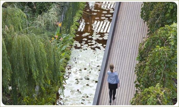 Прогулочная дорожка вдоль прямоугольного водоёма и живые изгороди из водных растений и плакучих над скамьёй
